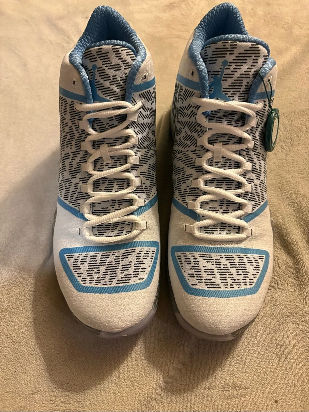 Air Jordan 29 ‘Pantone’